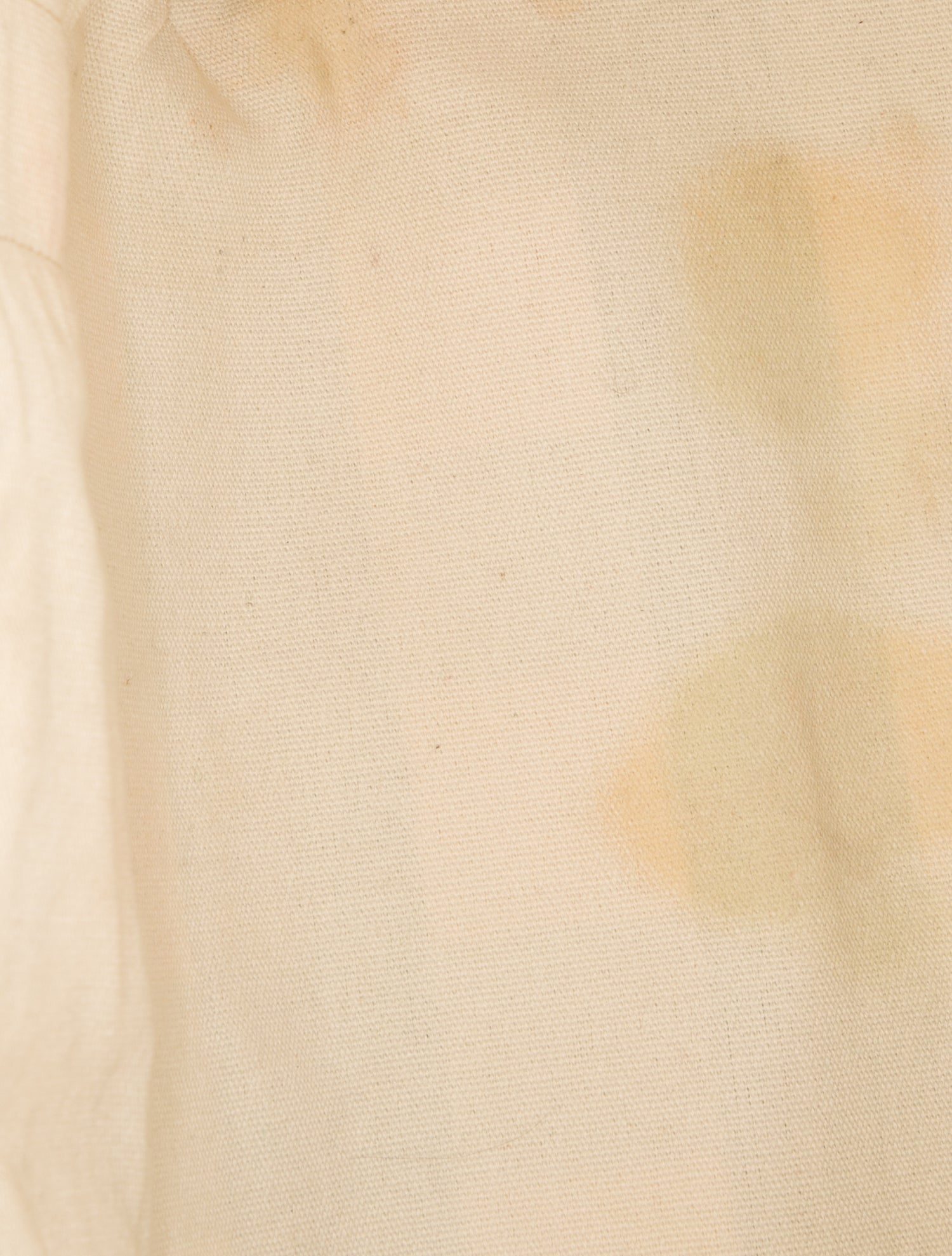 Loeffler Randall Canvas Tote